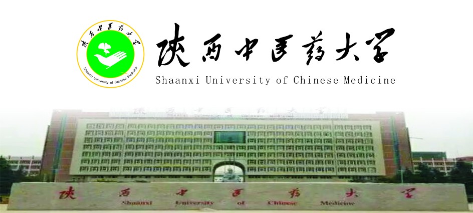 ������t(y��)ˎ��W(xu��)